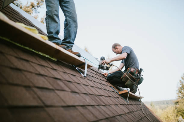 Best Roof Gutter Cleaning  in Eureka, CA